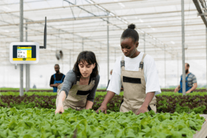 Polwax CLIMA temperature and humidity monitoring solution