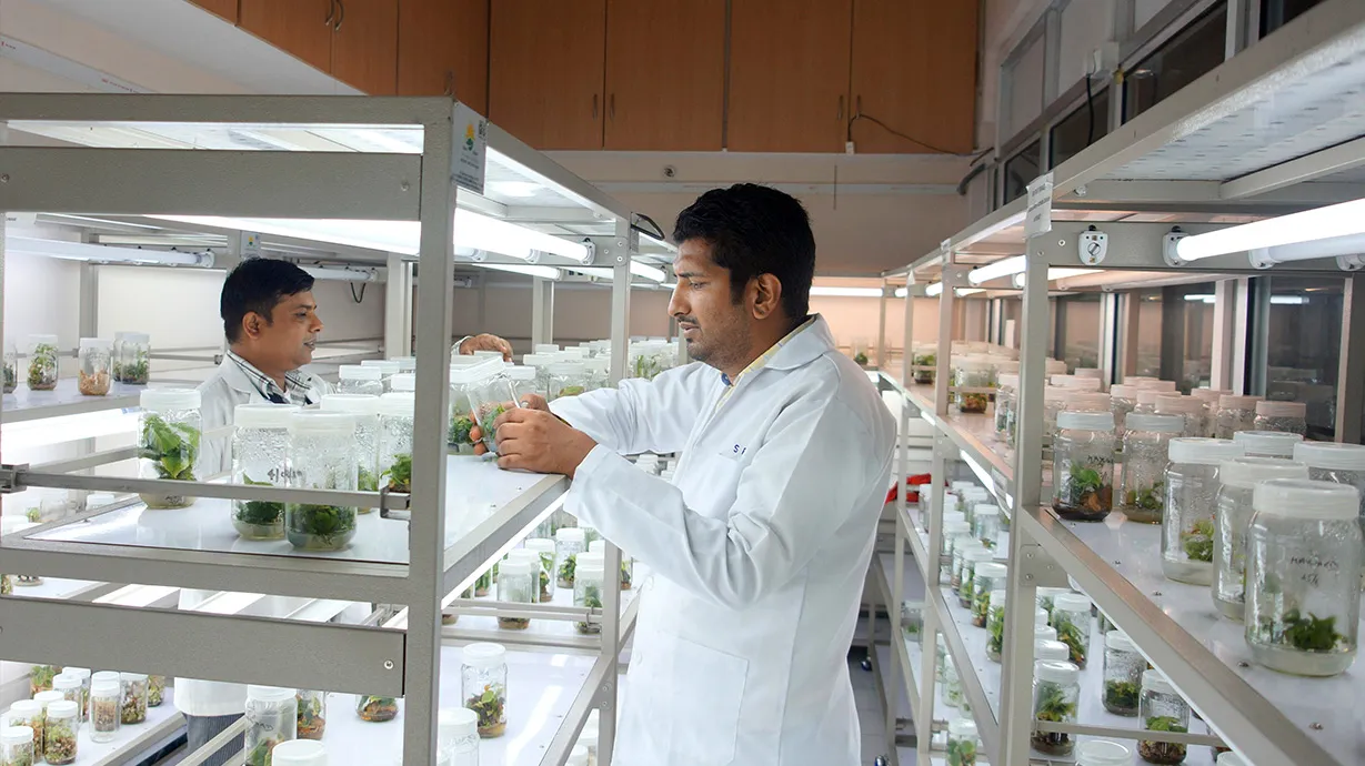 Plant Research Laboratories
