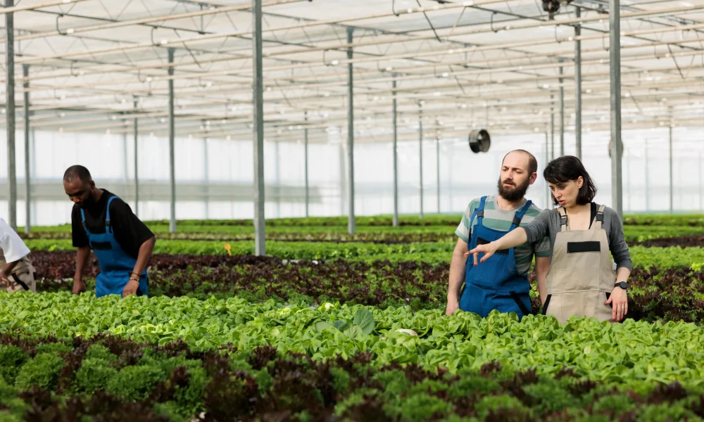 Polwax monitoring solutions for agriculture applications